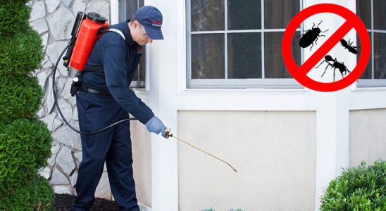 Atkaracalar Kene İlaçlama böcek ilaçlama ve haşere kontrolü — ilaclama-tr.com